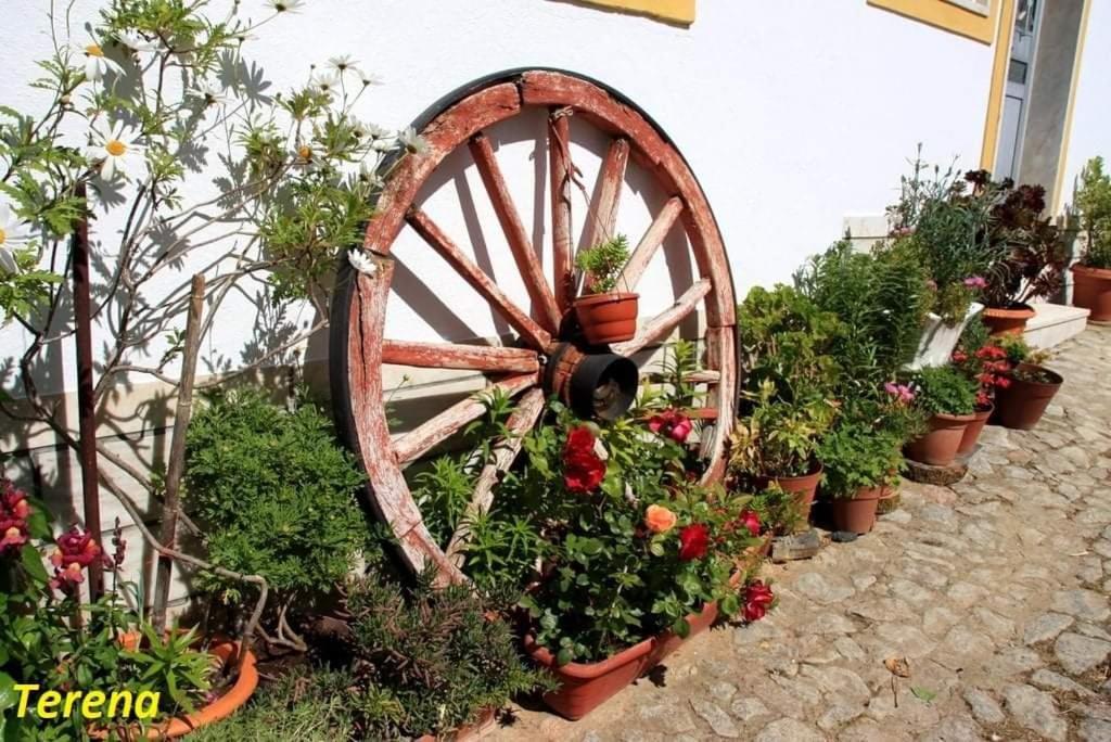 A Casa Do Mestre Lau - No Coracao Do Alentejo Terena Buitenkant foto